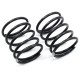 Execute XQ1,XQ10 Medium Spring Pair Silver XP-10169