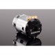 Ruddog RP540 17,5T Fix Timingos Szenzoros Brushless motor